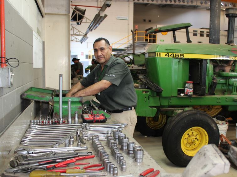 Técnico especializado 